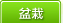 盆栽