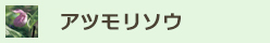 アツモリソウ