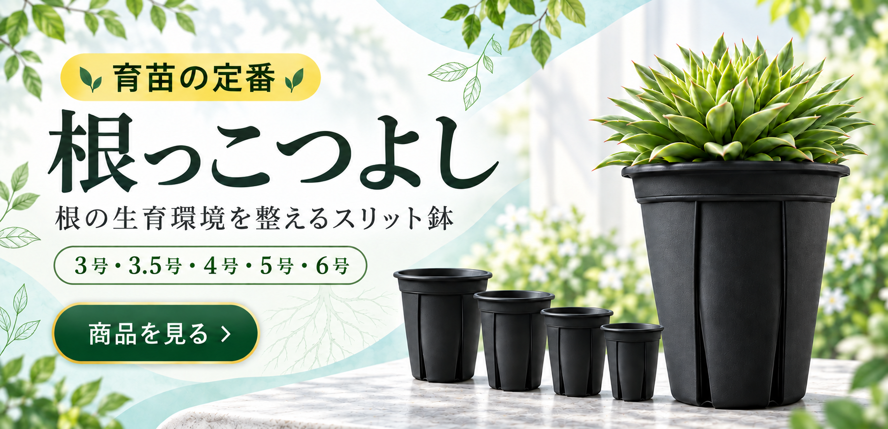 根っこつよし